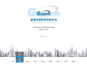 网思中国 高端网站定制 网思案例 网站建设案例